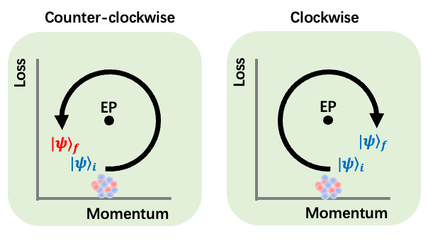 A new study finds that quantum state evolution is direction dependent in the parameter space of dissipative spin-orbit coupled system. Credit: Dong Liu