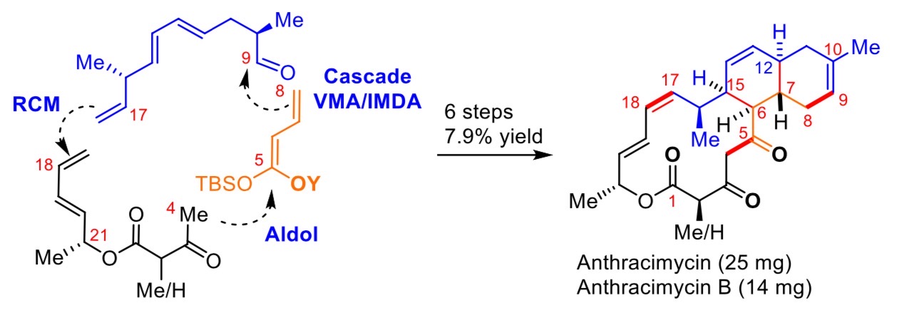 童教授及其团队设计的新型合成炭疽霉素化学路线