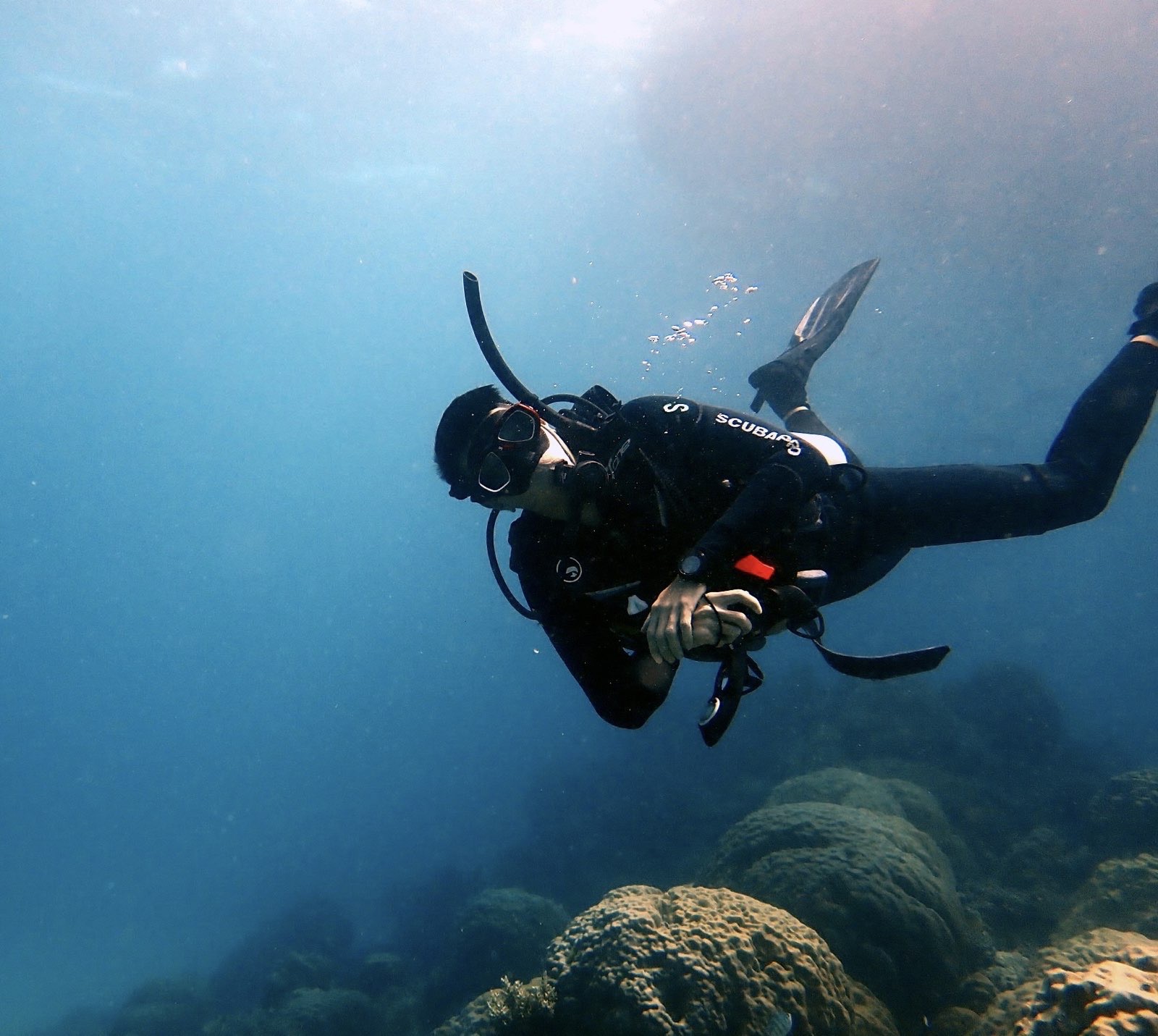 HKUST Biology graduate Taison Chang diving