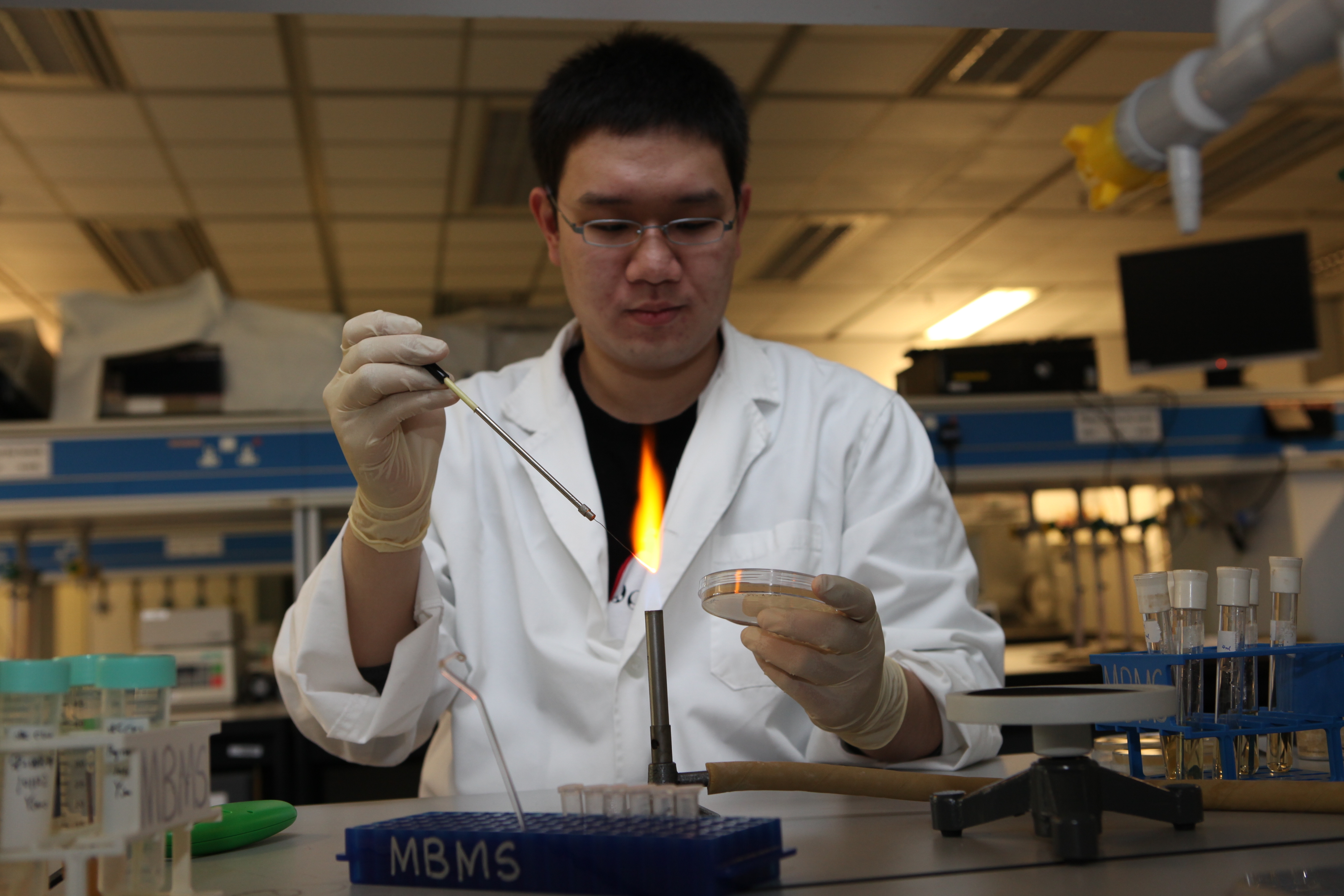 Student Rory Li working in the laboratory