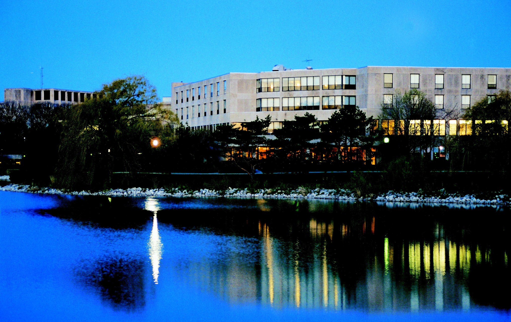  西北大学凯洛格管理学院