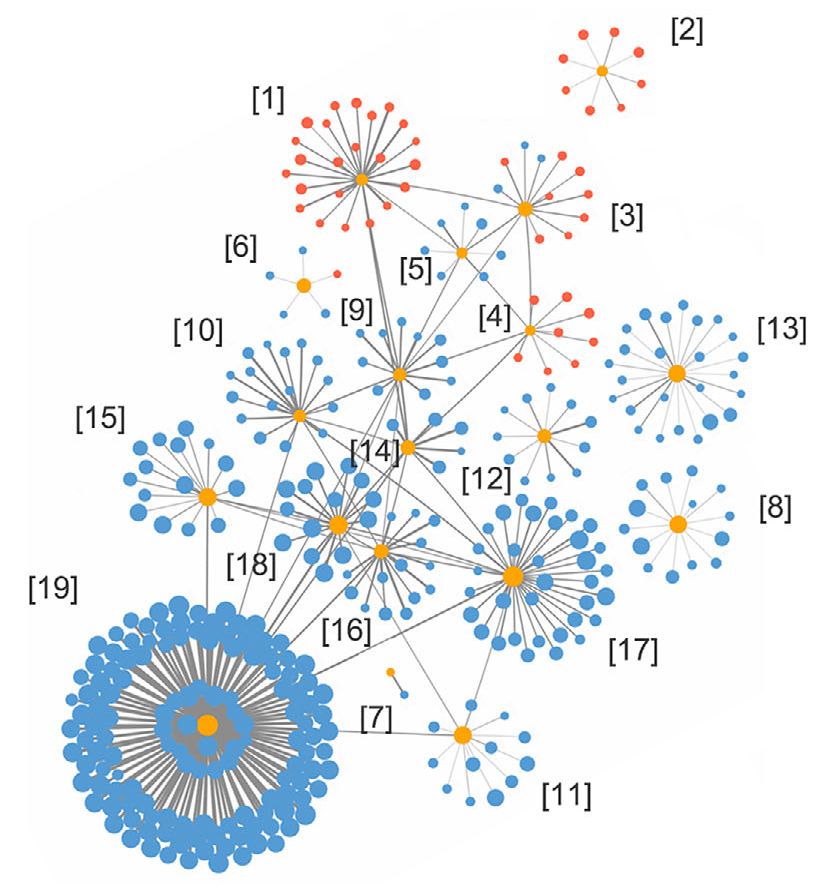 The research team identified 19 plasma hub proteins (indicated as yellow dots in the figure) in AD patients, which are irregular compared to healthy people.