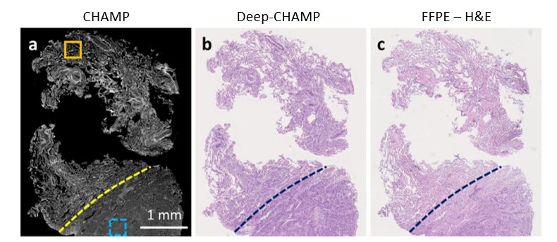 Three images compared