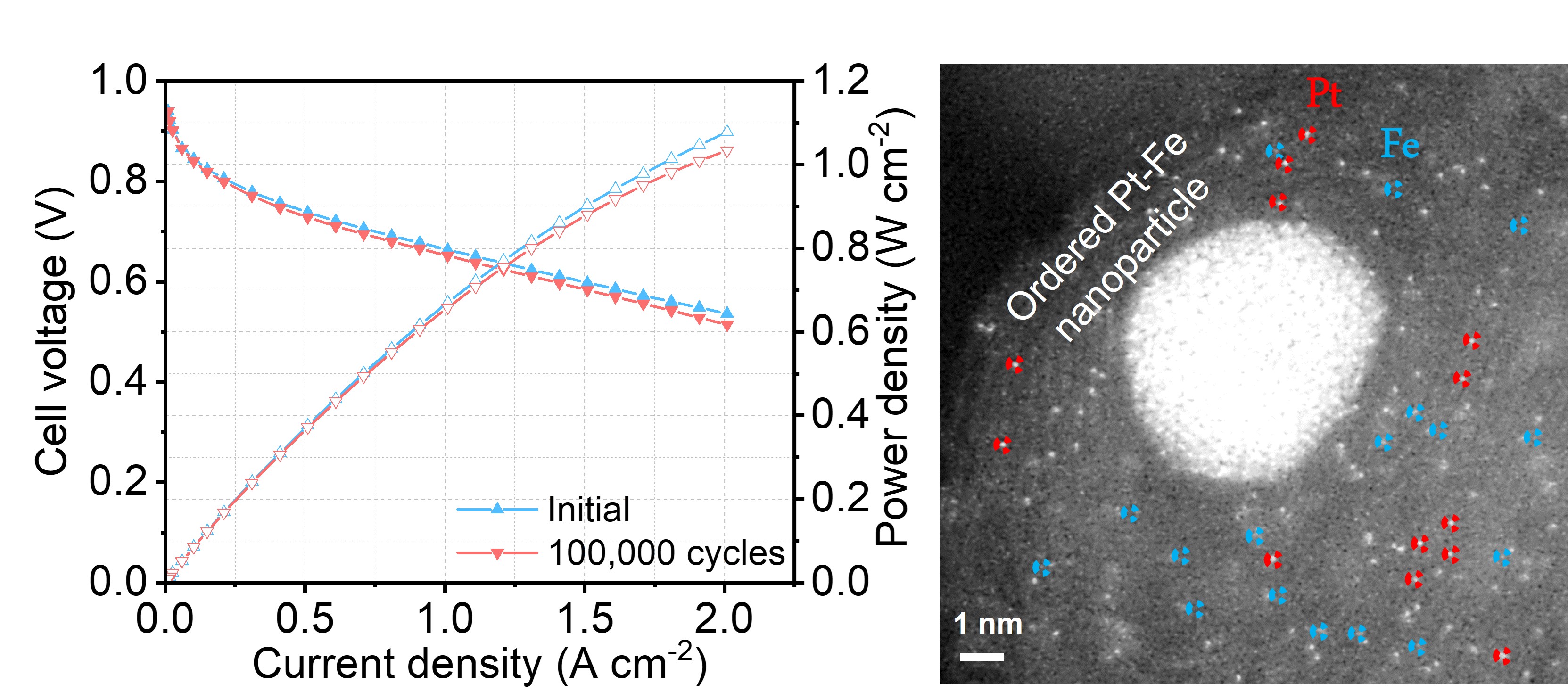 The new electrocatalyst contains atomically dispersed platinum, iron single atoms and platinum-iron nanoparticles.