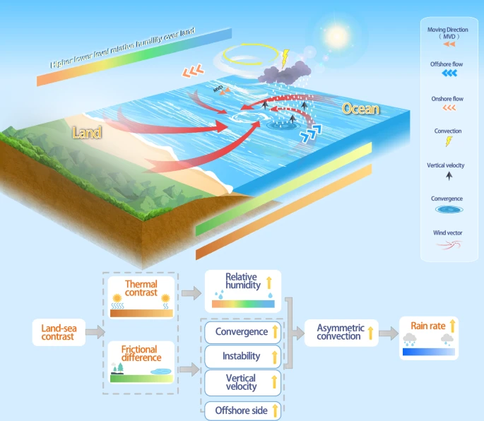Schematic illustration of the physical mechanisms driving pre-landfall rainfall intensification, highlighting the influence of land–sea contrasts on near-coastal convection and precipitation.