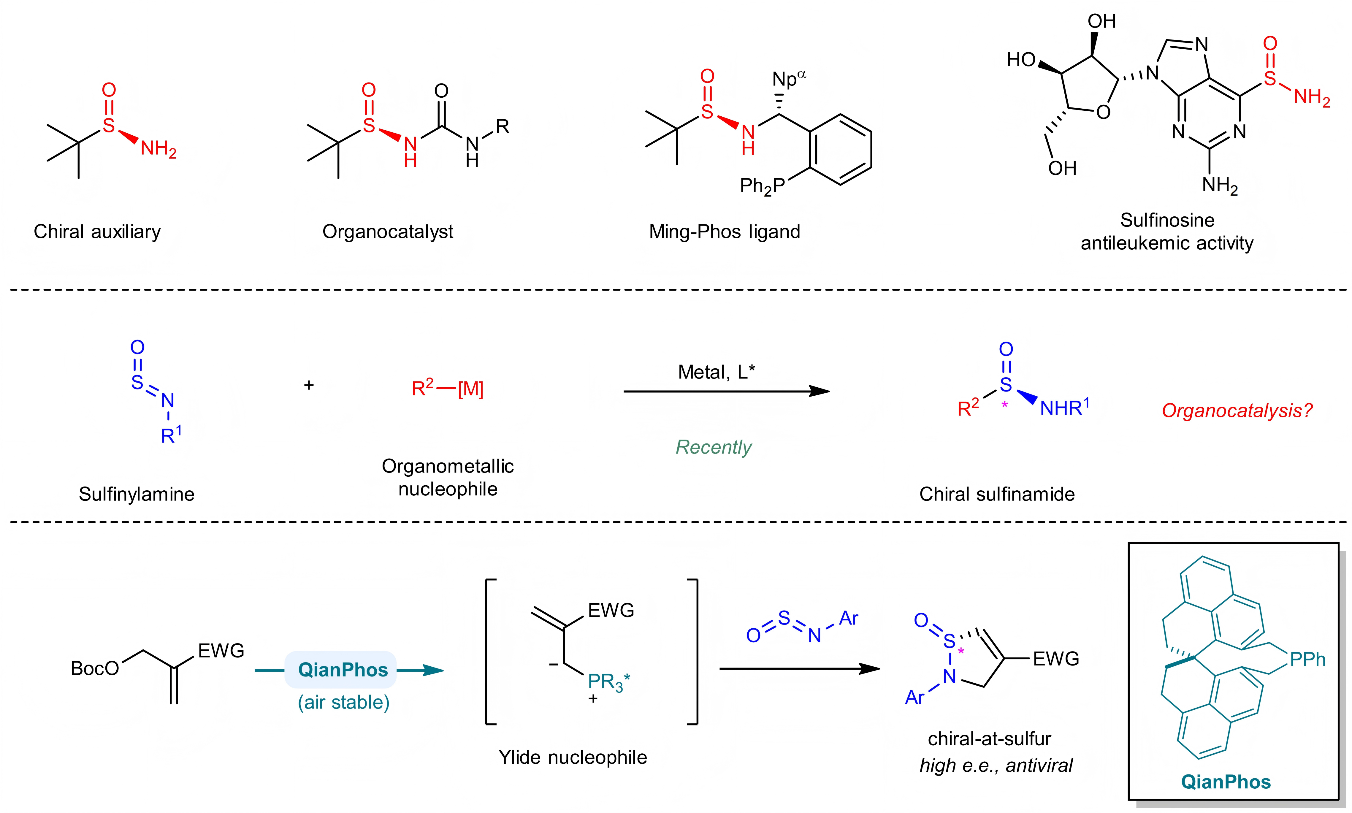 A graphic abstract of this study