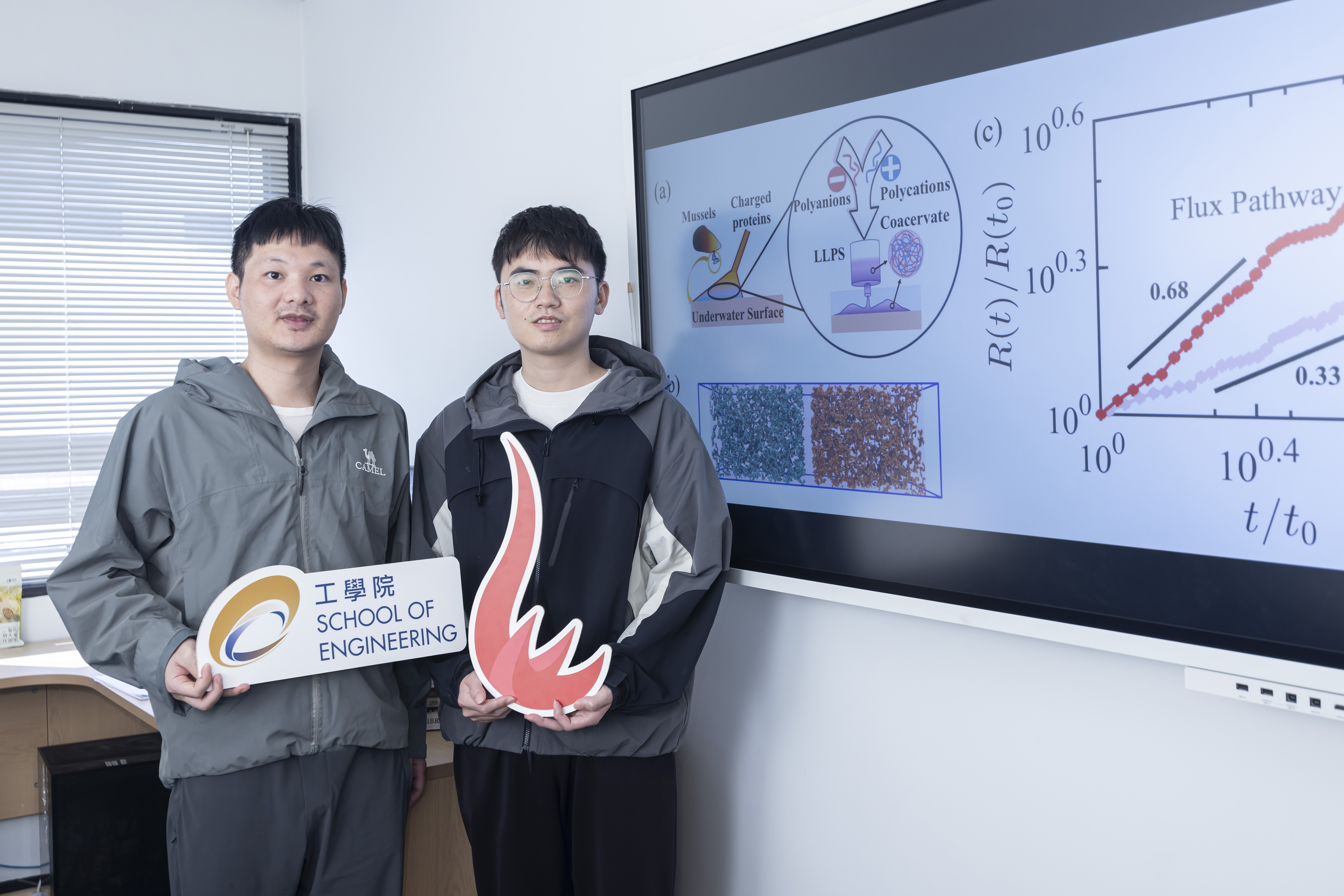 Prof. CHEN Shensheng (left) and PhD student WU Zongpei (right) simulated the whole process of liquid-liquid phase separation from start to finish, revealing how mussels instantly glue themselves to rocks. Their research holds significant implications for developing instant biocompatible surgical glues and programmable smart materials.