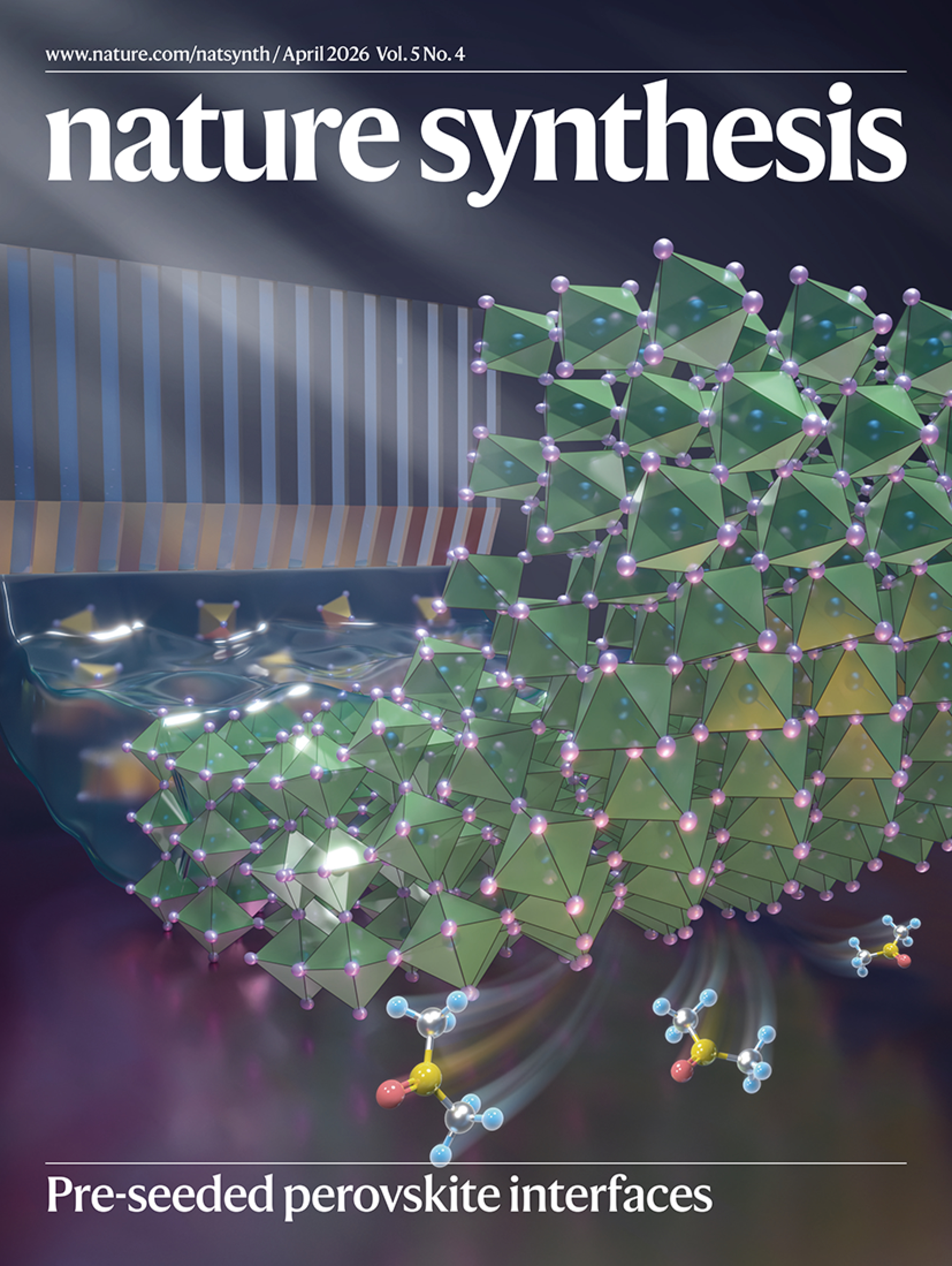 Conceptual illustration showing how the “slow-release solvent” strategy repairs buried interfaces in perovskite thin films. This research was published in Nature Synthesis and featured as the journal’s cover article for the April 2026 issue (Volume 5, Issue 4).