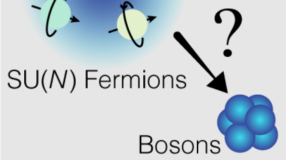 Fermions with different spins (indicated by arrows) behave like bosons in three dimensions when the number of spin components increases