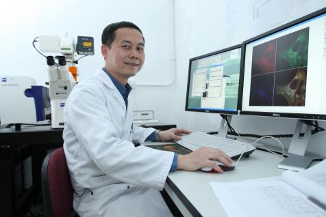 Prof Xia Jun	