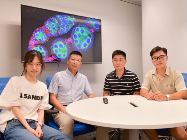 Prof. XIE Ting, Head and Chair Professor of HKUST’s Division of Life Science (second left), Dr. TU Renjun, Research Assistant Professor of HKUST’s Division of Life Science (second right) and other members of the research team