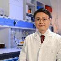 Prof. King Lun YEUNG