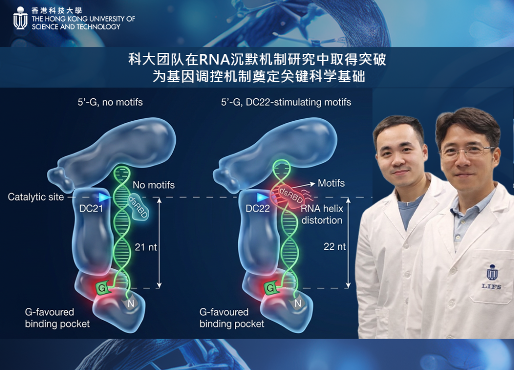 科大团队在RNA沉默机制研究中取得突破
