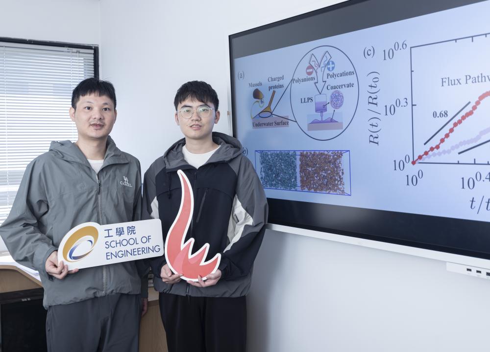 Prof. CHEN Shensheng (left) and PhD student WU Zongpei (right) simulated the whole process of liquid-liquid phase separation from start to finish, revealing how mussels instantly glue themselves to rocks. Their research holds significant implications for developing instant biocompatible surgical glues and programmable smart materials.