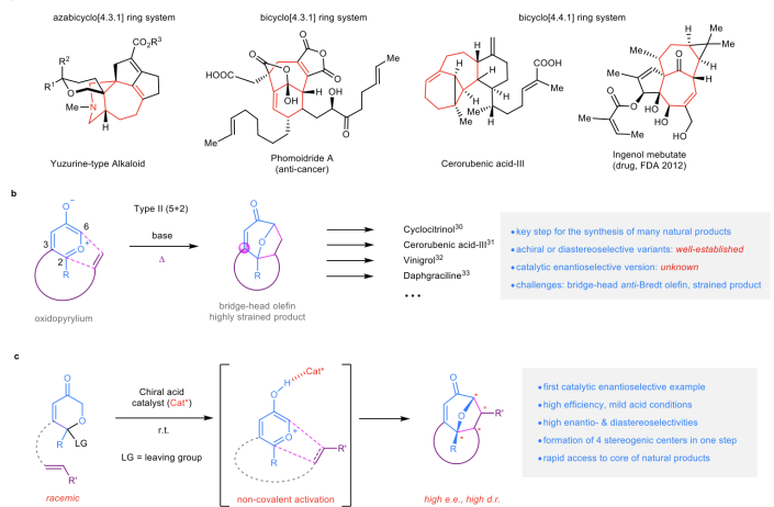 Caption: A schematic of the catalytic enantioselective type II [5 + 2] cycloaddition method. 